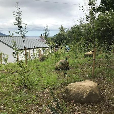An Bothán-Cosy Cottage in the Cooley Mountains Dundalk Exterior foto